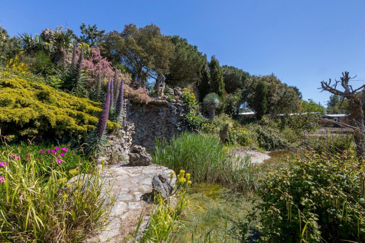 Welcome In - Chalet Vakantiepark Fort Den Haak - Huisdier Toegestaan 弗劳温普尔德 外观 照片